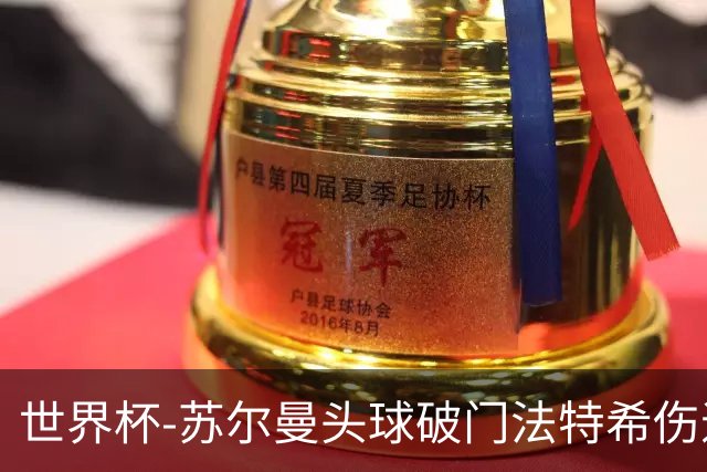 世界杯-苏尔曼头球破门法特希伤退 半场新西兰1-0埃及
